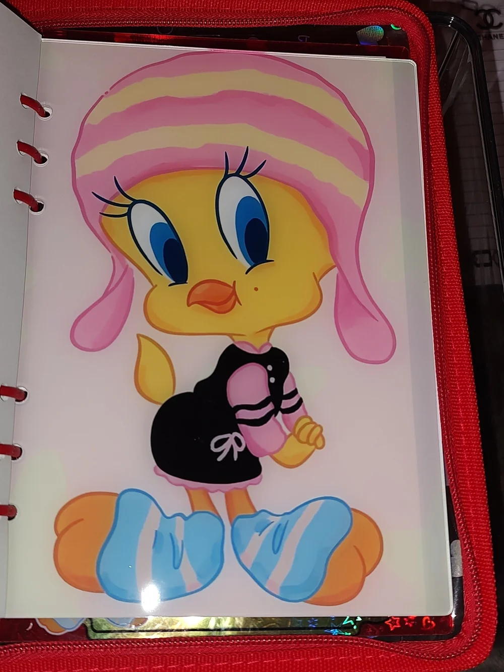 New! A5 Size Tweety Bird Acrylic Shaker Notebook